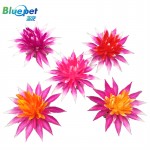 B1046061-Pink