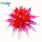 B1046061-Pink