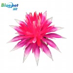 B1046061-Pink