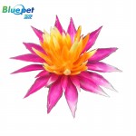 B1046061-Pink