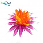 B1046061-Purple