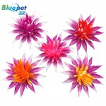 B1046061-Purple