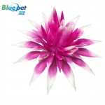 B1046061-Purple