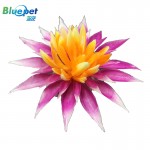 B1046061-Purple